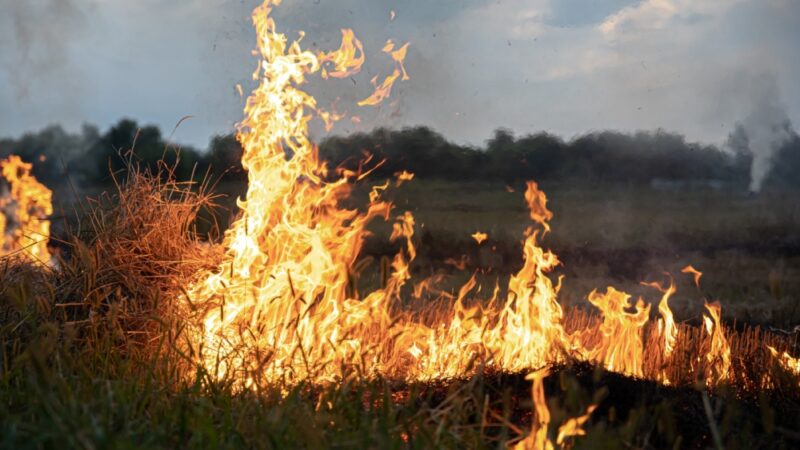 Tragiczne efekty pożaru gospodarczego w Kmiczynie: straty szacowane na 100 tys. zł