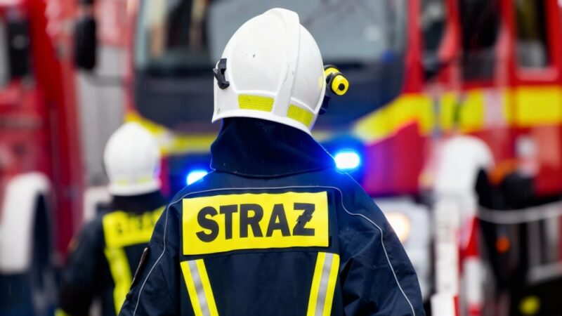 Zarząd OSP RP omawia plany na przyszłość w Tomaszowie Lubelskim